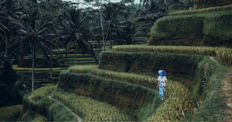 Freepik/sergeycauselove